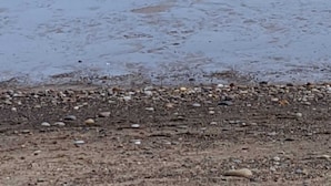 A beach with a rocky shoreline and wind turbines in the background. - 2 bed Caravan Approx 10 Mins From Beach Suzie 2 (Hull)