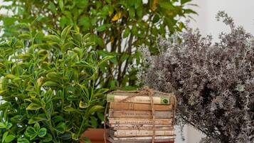 A potted plant with a stack of books on a woven stool.