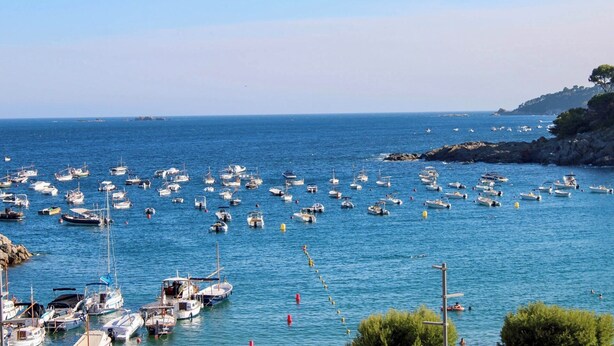 A marina with numerous boats docked. - Hostal Sa Teula (Palafrugell)