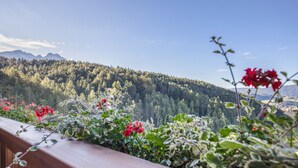 A balcony with a view of a forested mountain range. - Apartment “Ritten Gfliererhof” with Mountain View, Garden & Balcony (Völs am Schlern)
