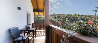 Appartement "Schlern Gfliererhof" met Uitzicht op de Bergen, WiFi, Tuin & Balkon