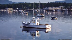 Un port où sont amarrés de nombreux bateaux, avec une eau calme et des bâtiments en arrière-plan.