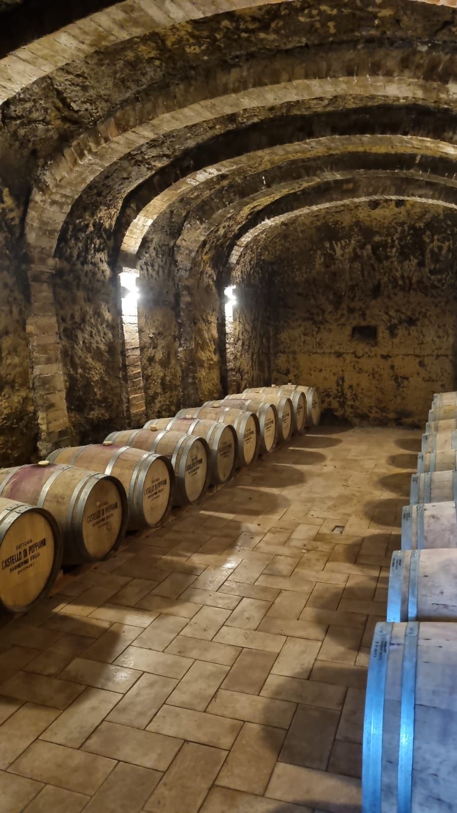 A cellar with stone walls and wooden barrels arranged in rows.