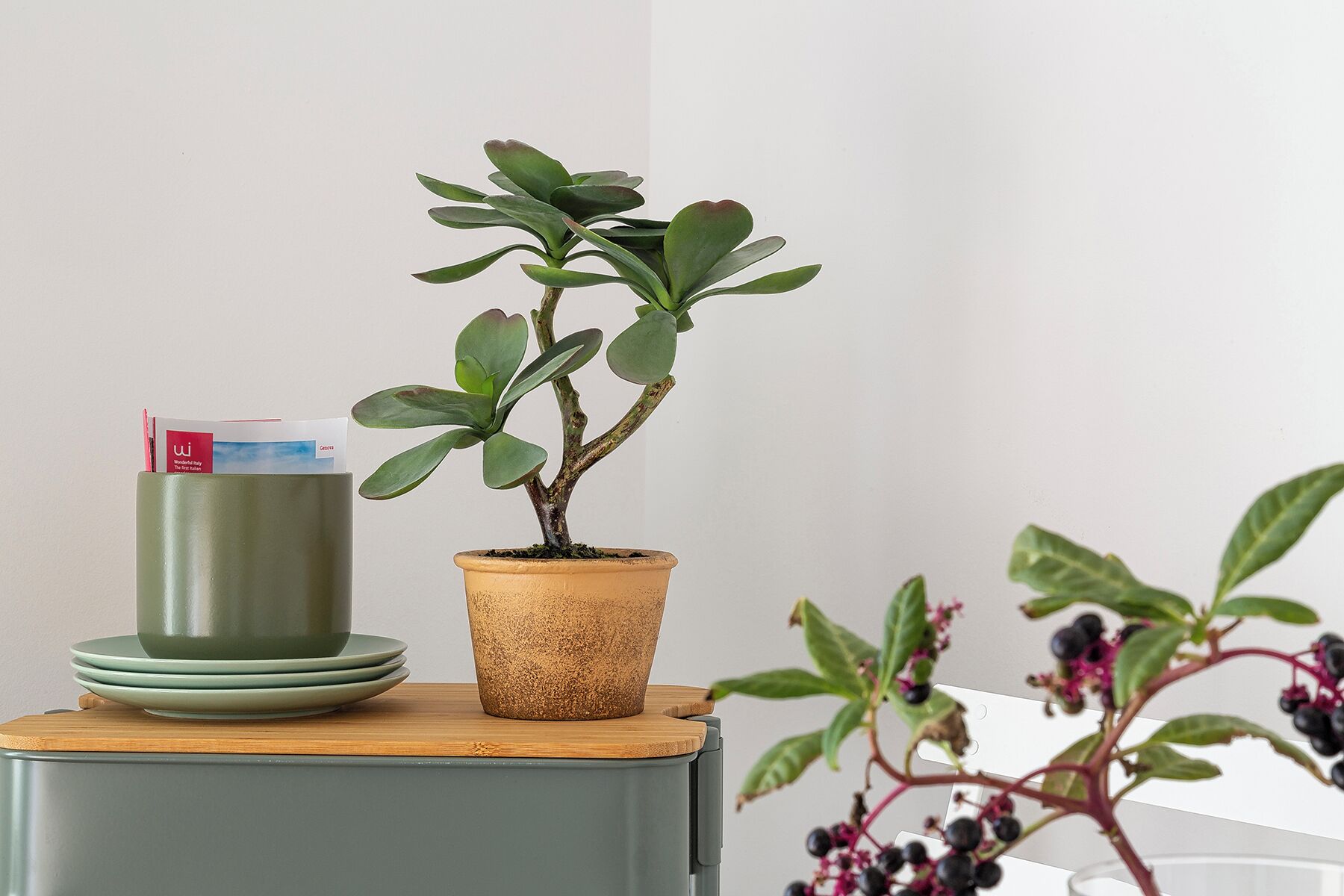A potted plant with a small table beside it, a stack of plates, and a book.