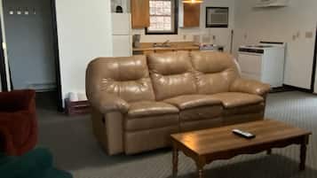 Smart TV, fireplace, DVD player, books