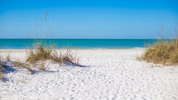 A sandy beach with clear blue sky and calm sea.