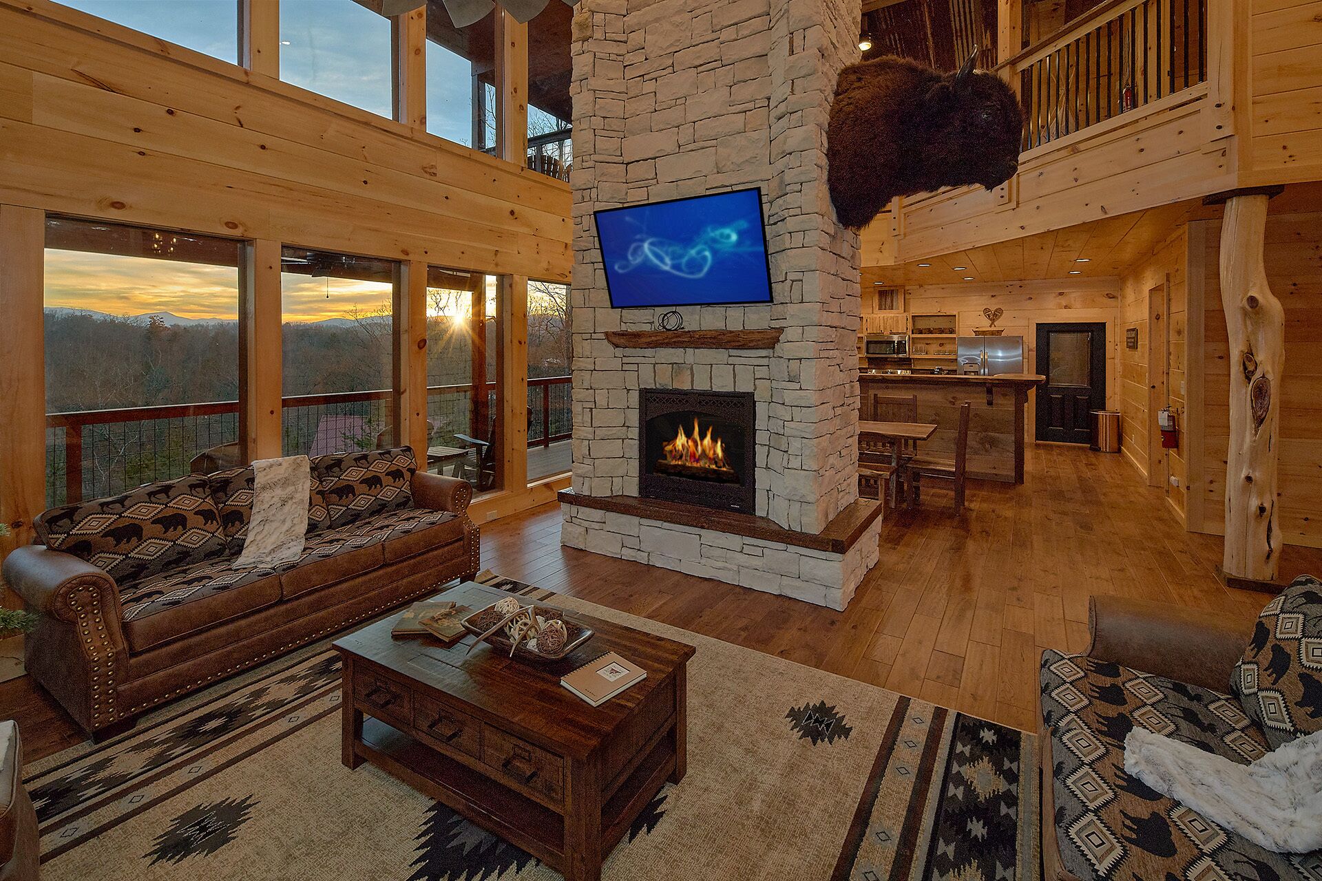 TV, fireplace, video games, DVD player