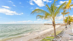 Une plage bordée d’une rangée de chaises longues vertes et d’un palmier.