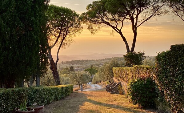A pathway leading through a garden with neatly trimmed hedges and trees, towards a distant view of a town. - Fattoria Santo Stefano - Agriturismo (Greve in Chianti)