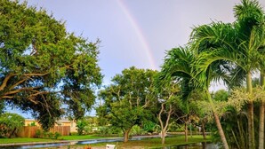 Zona residencial con un estanque, árboles y un arcoíris.