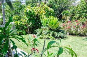 Terrain de l’hébergement 