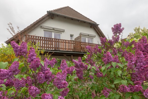 Unclassified image, 1 of 17, button - Apartment with balcony and country view (Malchow)
