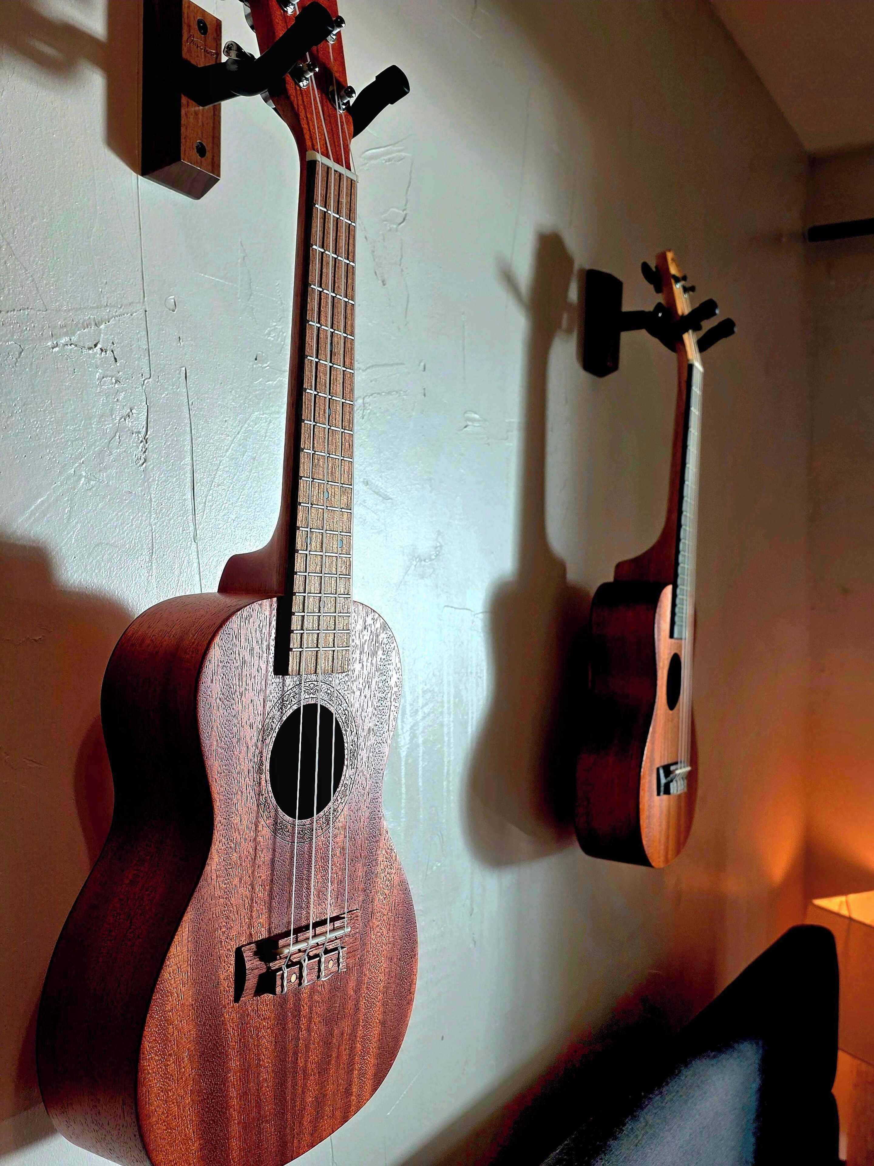 Two ukuleles mounted on a wall.