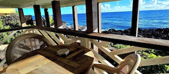 Oceanfront studio see whales and dolphins