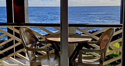 Oceanfront studio see whales and dolphins