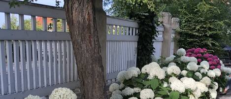 Jardin