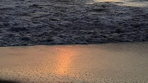 Una playa al atardecer con olas suaves lamiendo la orilla.