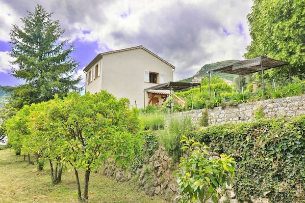 A house with a stone wall and a garden with various plants and trees.