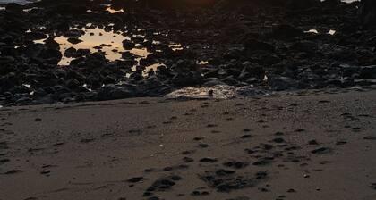 The Rustic Modern Retreat