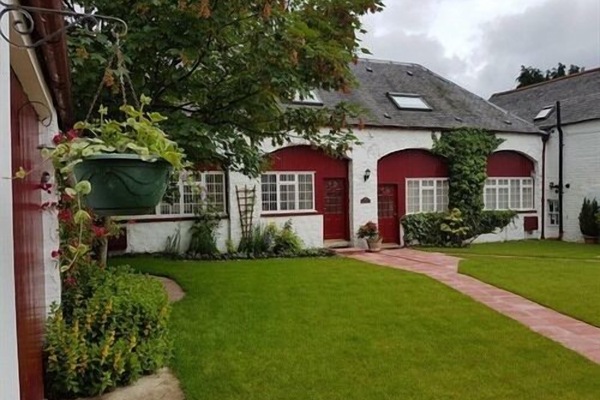 cottage garden
