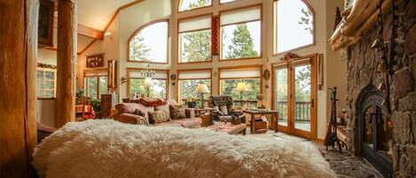 Télévision, cheminée, lecteur de DVD, livres