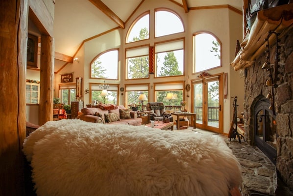 TV, fireplace, DVD player, books