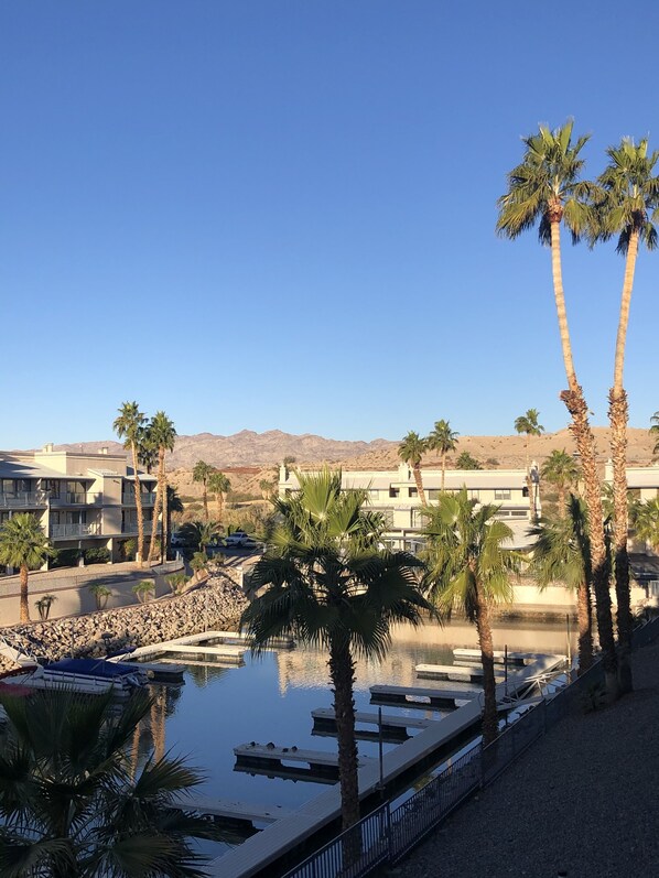 A resort with a pool, palm trees, and mountain views.