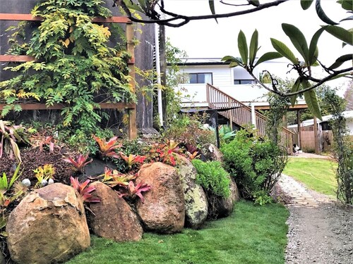 Water Light - Mangonui Harbour views