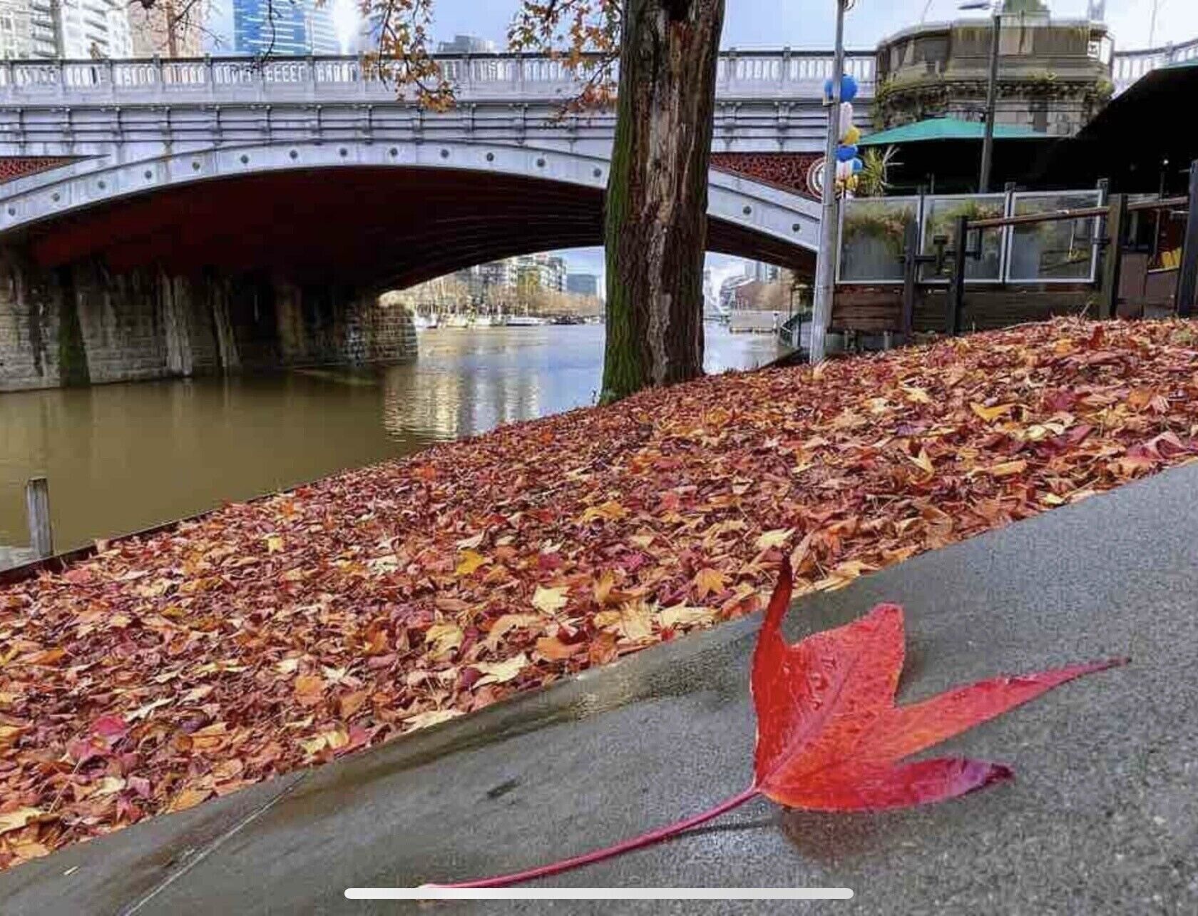 D124 Big Stay at Biggs — image 7