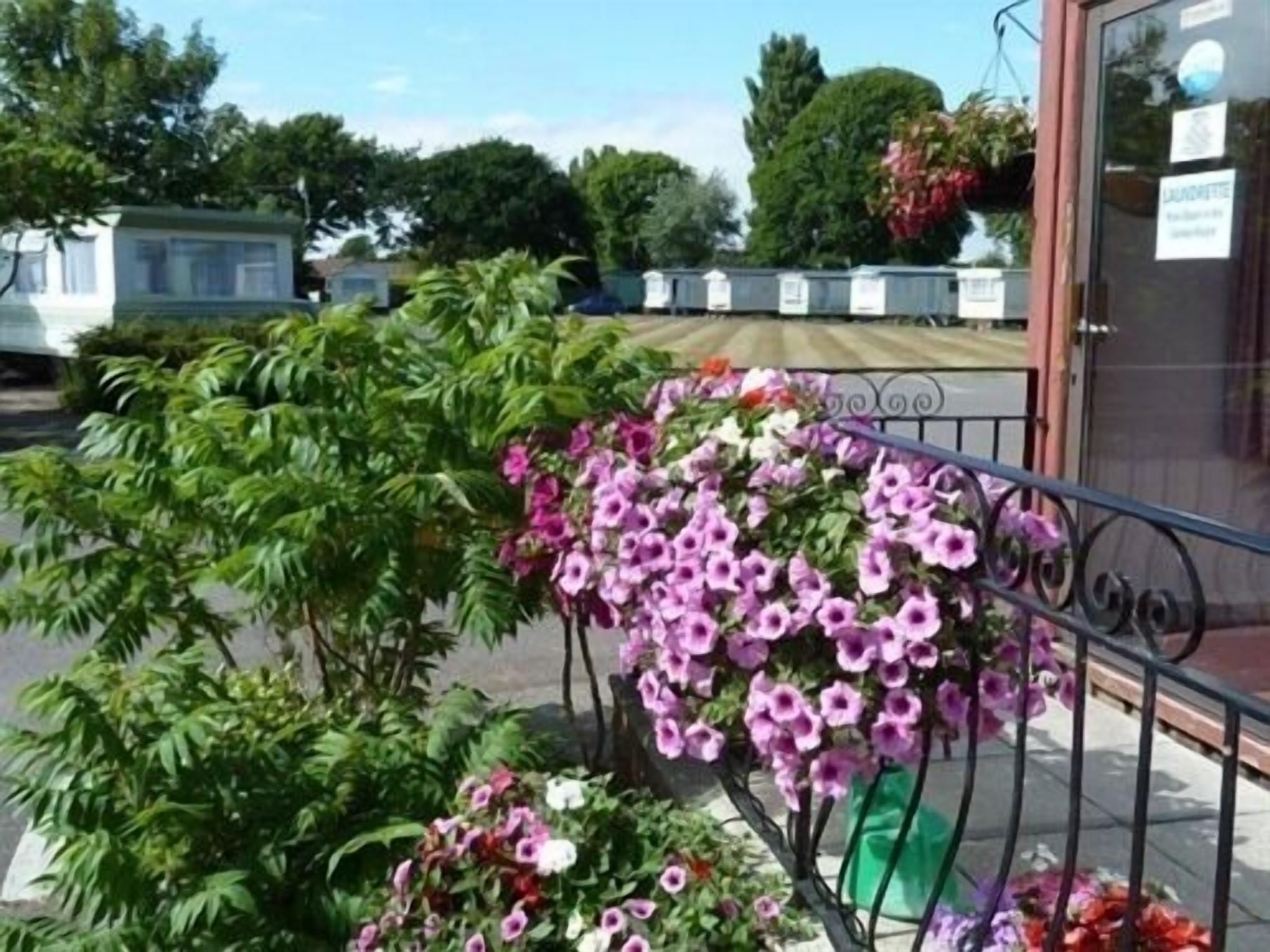 Penguin Luxury 6 Berth Caravan - Selsey