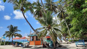 Un caffè sulla spiaggia con posti a sedere all'aperto, palme e vista sull'oceano.