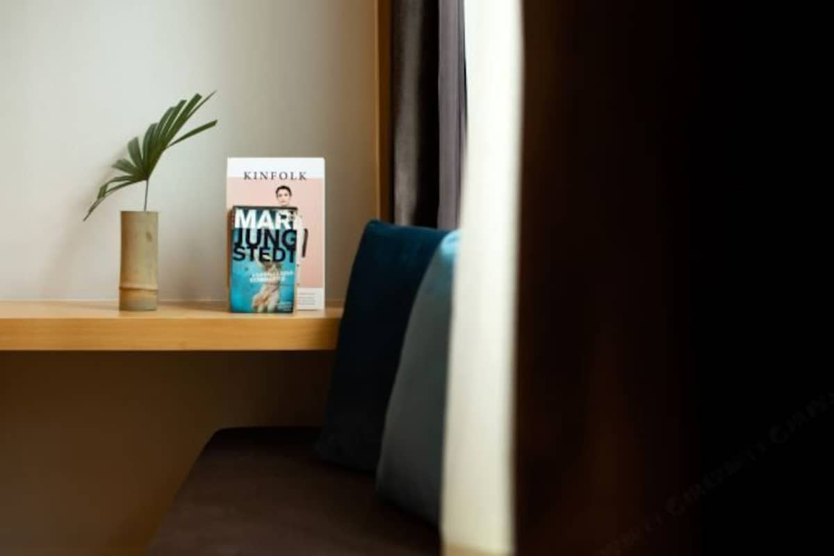 Um livro com o título 'Marina Jung' numa estante, uma planta em vaso e uma almofada azul.