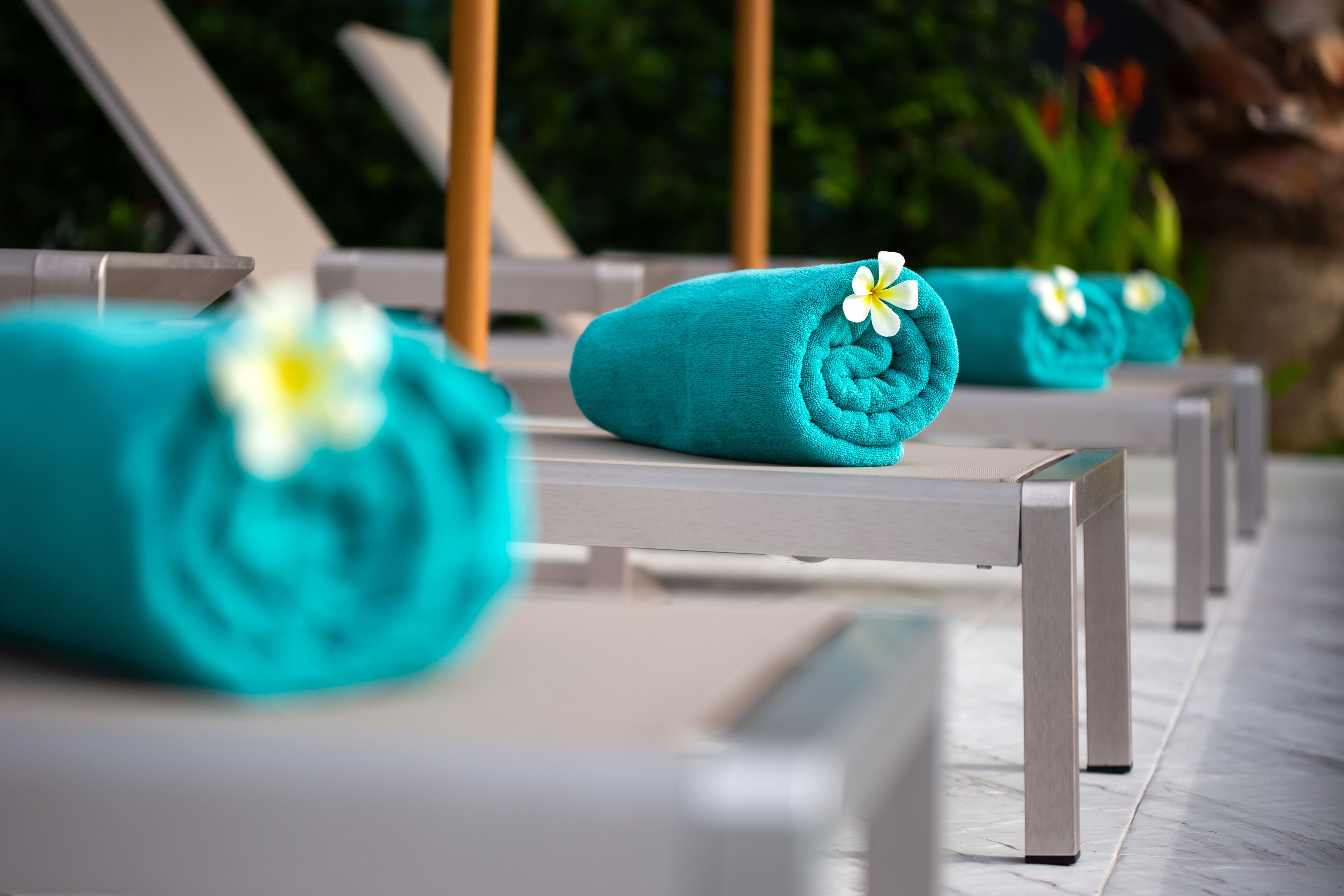 A row of sun loungers with teal towels and white flowers, set against a backdrop of greenery.