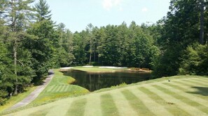 A golf course with a pond, surrounded by dense trees.