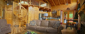 Smart TV, fireplace, DVD player, books