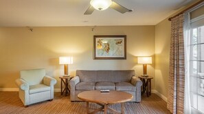 TV, fireplace, video games, DVD player