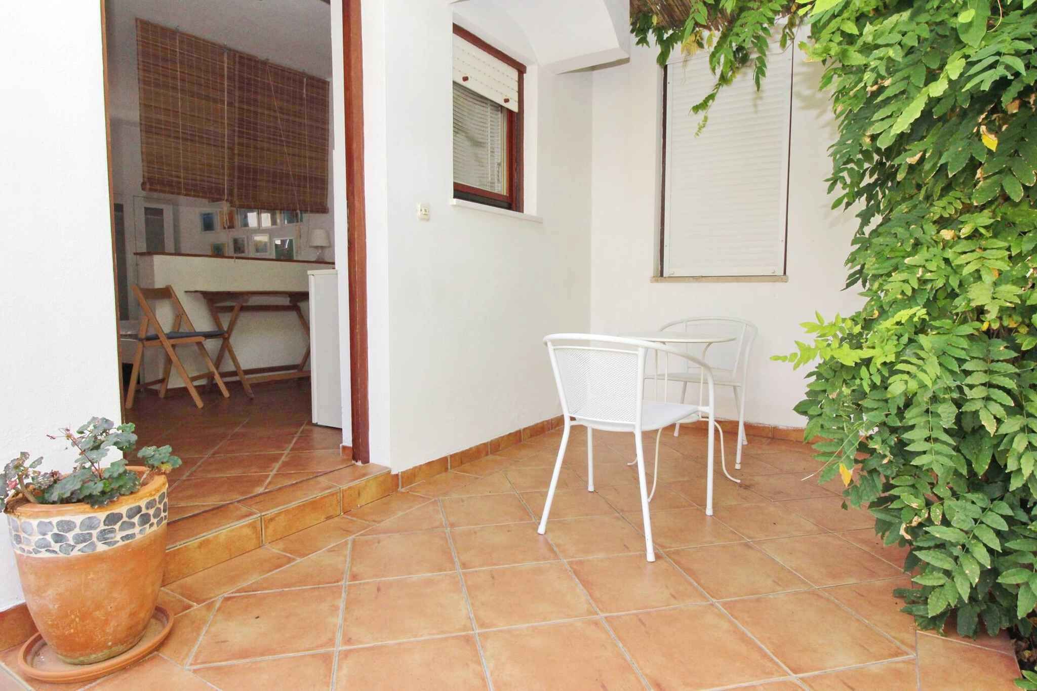 A patio area with a tiled floor, a white chair, a potted plant, and a view into a room with a kitchen and a dining area.