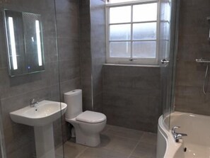 Combined shower/bathtub, hair dryer