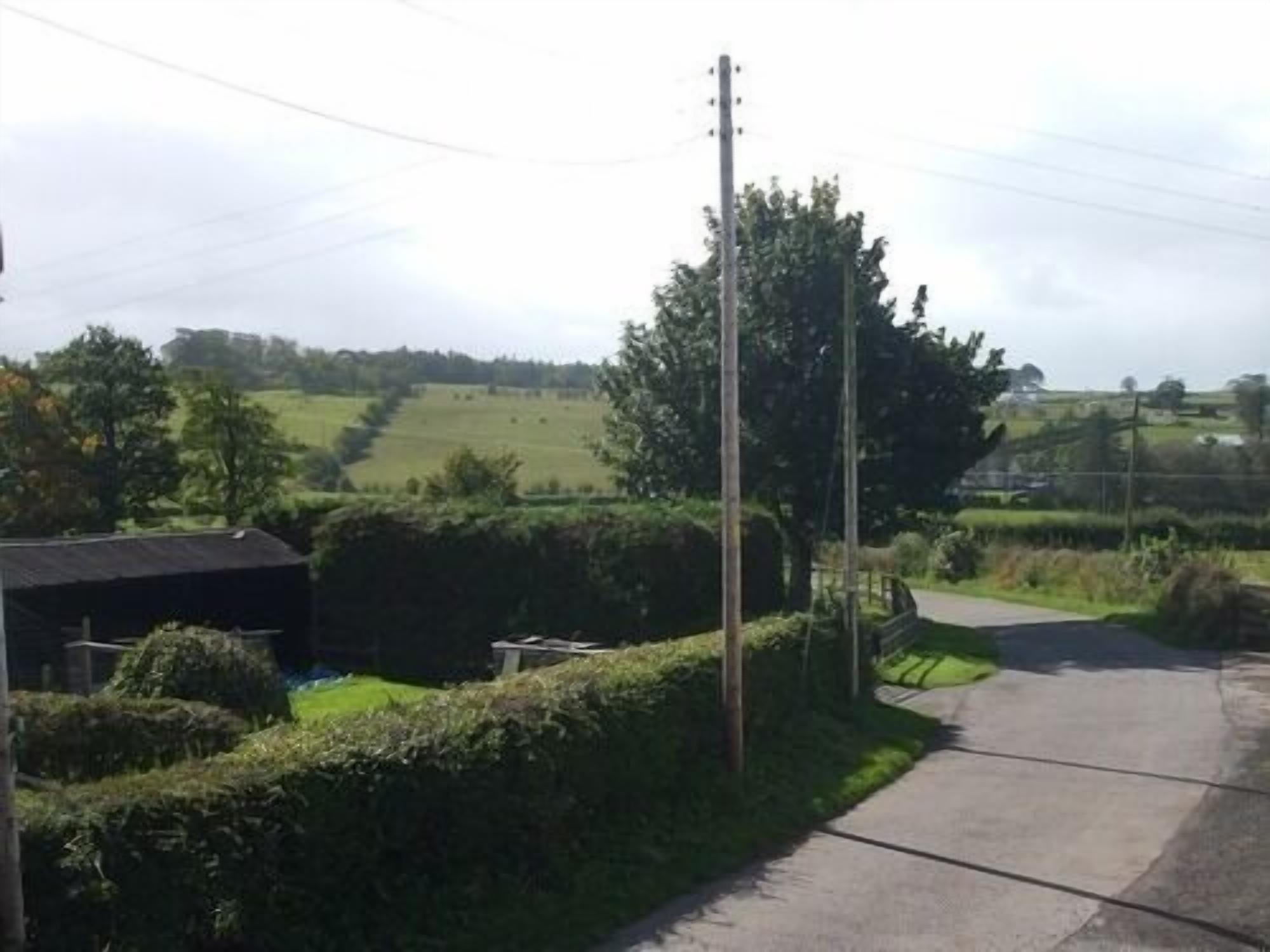 View from Room 2