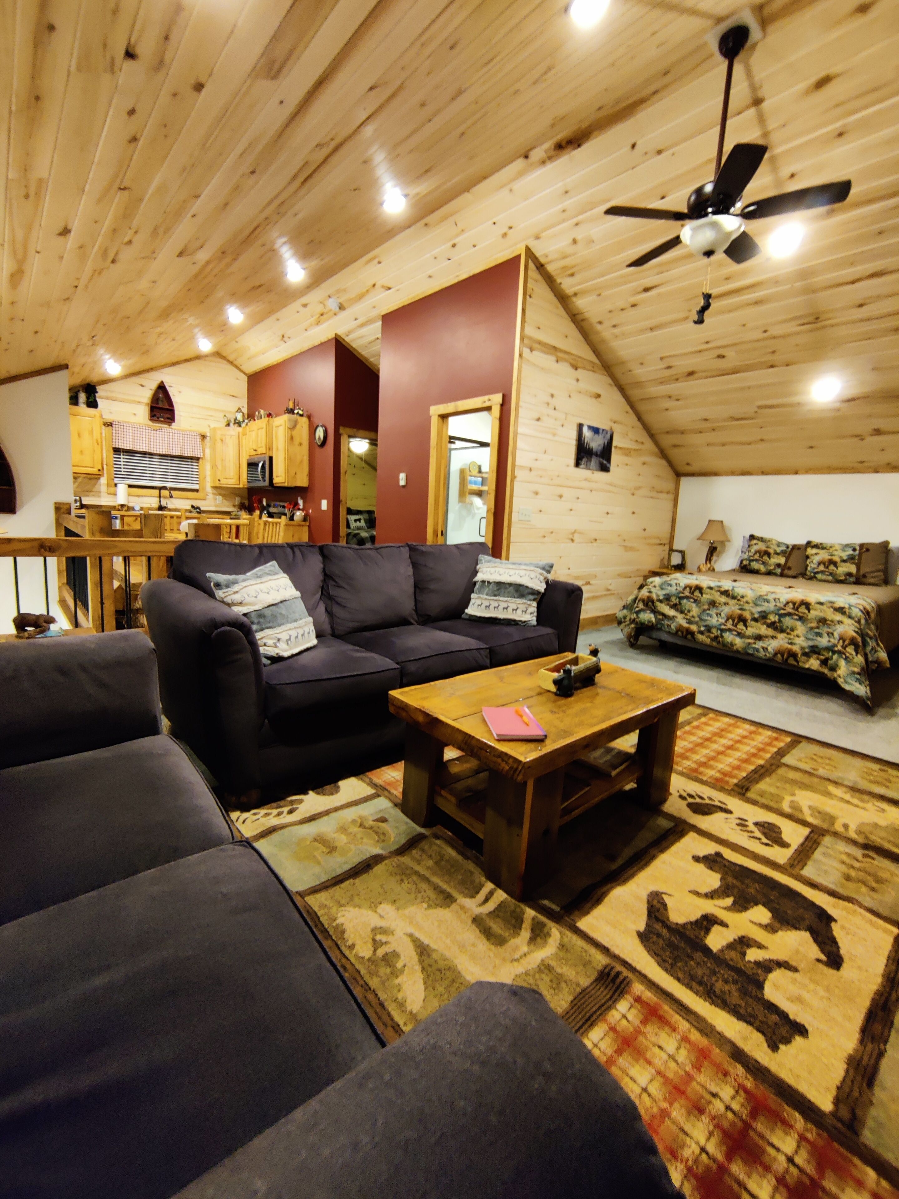 Älytelevisio, DVD-soitin, kirjoja, videokirjasto