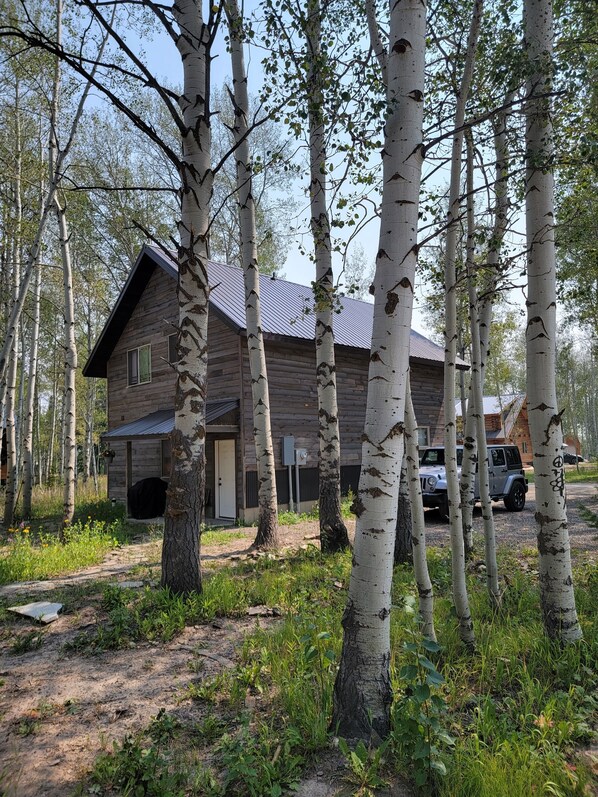 A wooden cabin surrounded by birch trees, with a gravel path leading to the entrance.