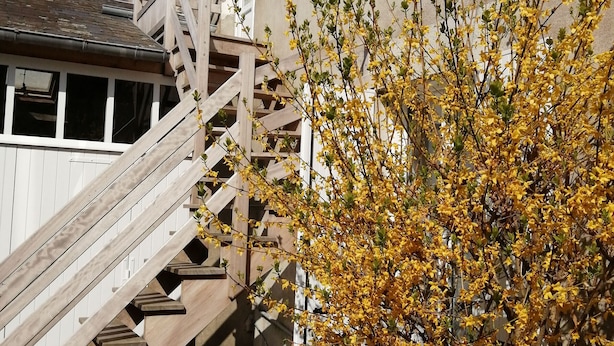 A staircase with wooden railings and a tree with yellow flowers in front.