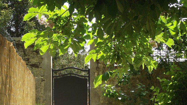 Un portail rustique orné d’un motif décoratif, entouré d’une végétation luxuriante et d’un mur de pierres.