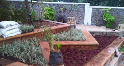The Villa With Pool, Disco, Lawns