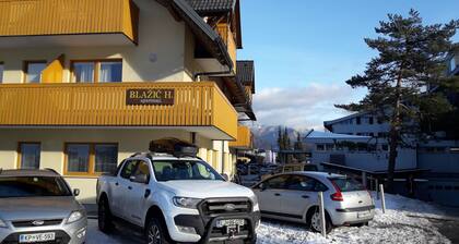 BlaĆŸiÄ Kranjska gora Apartment 2 - Best location