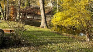 Un parc avec un étang, des arbres et un banc.