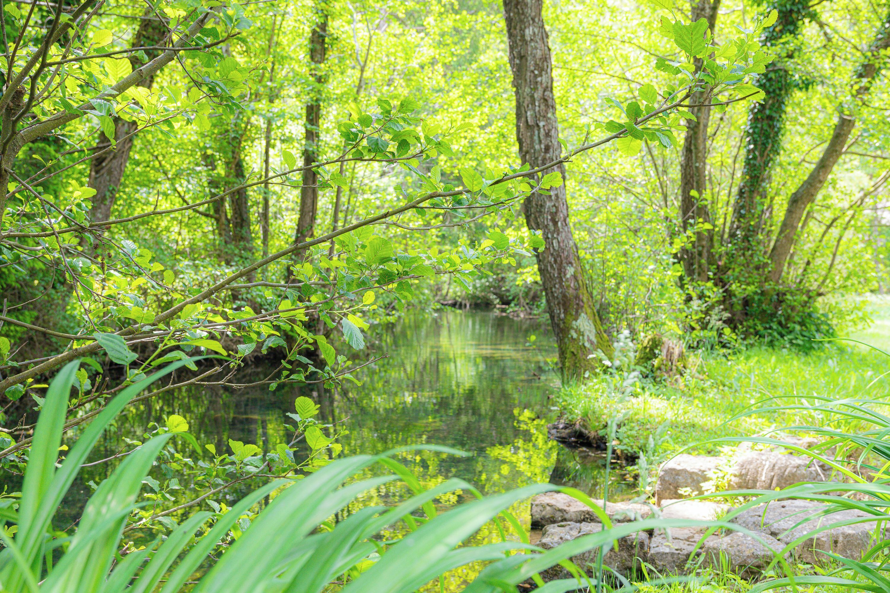 المنطقة المحيطة بالمنشأة