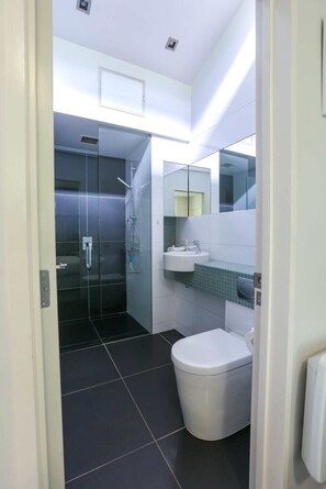 Shower, hair dryer - Panorama Escape  - Lake & Mountain Views! (Queenstown)