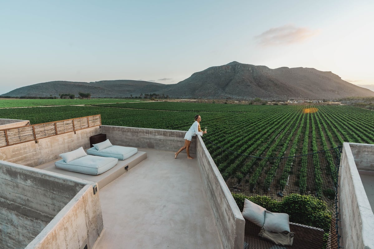 Terraza en la azotea con mobiliario y vistas a un viñedo.