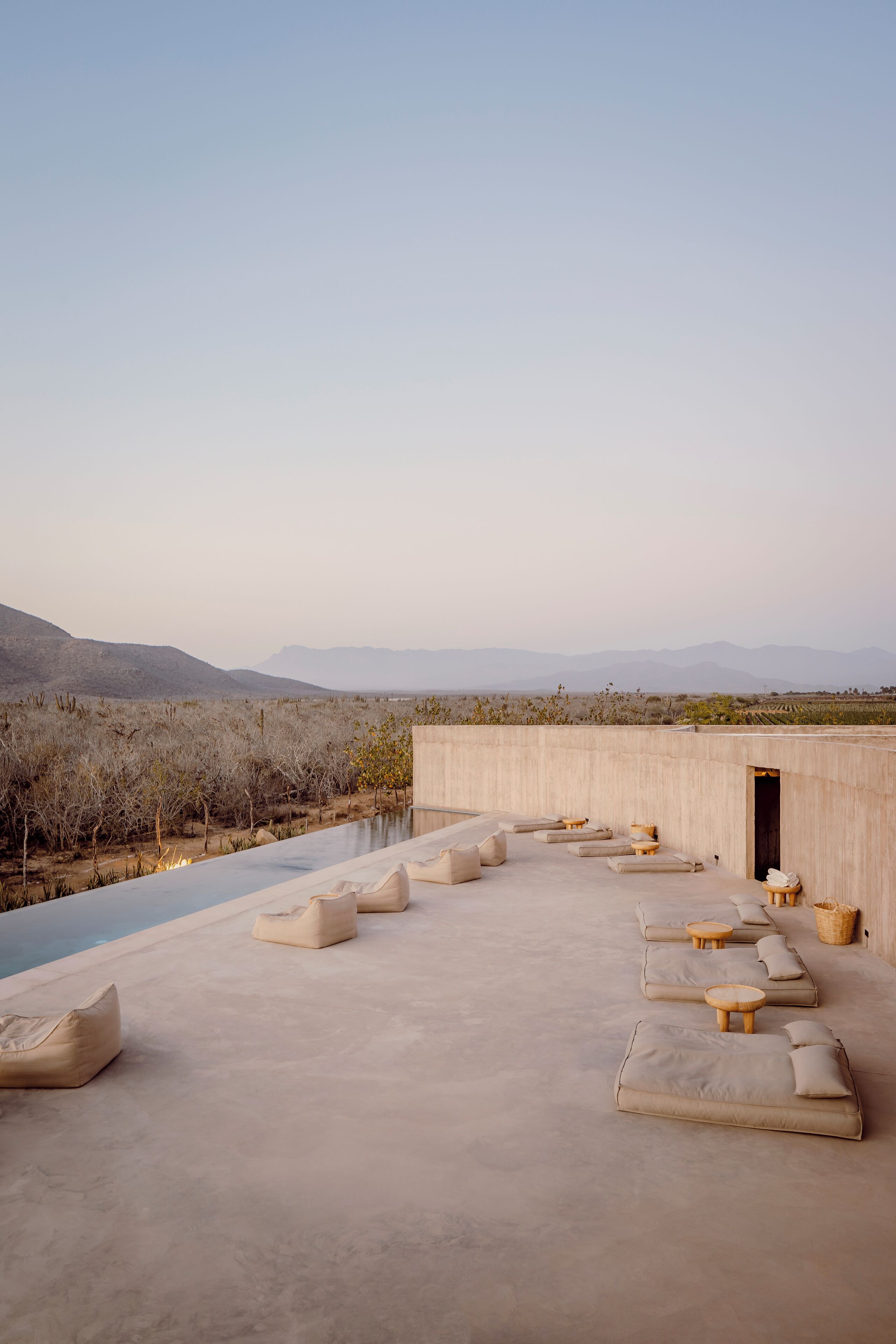 室外游泳池，提供日光浴躺椅